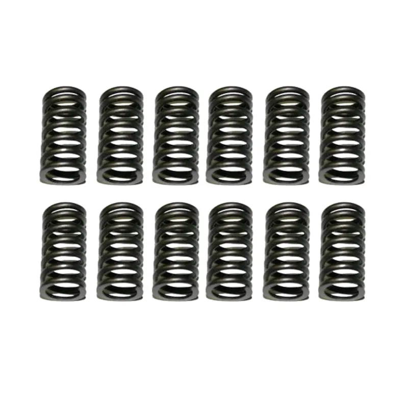 1989-1996 Cummins 5.9L 12V Valve Spring Set Of 12 (160-1348) 1