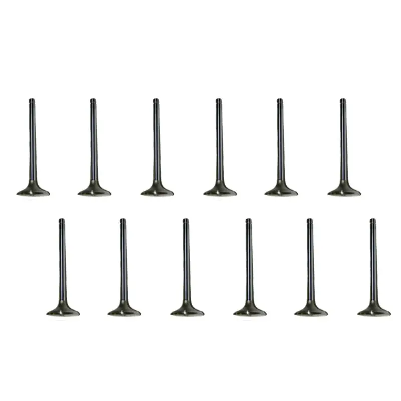 1989-1998 Cummins 5.9L 12V Sbi Intake & Exhaust Valve Set Of 12 (01664 & 01665) 1