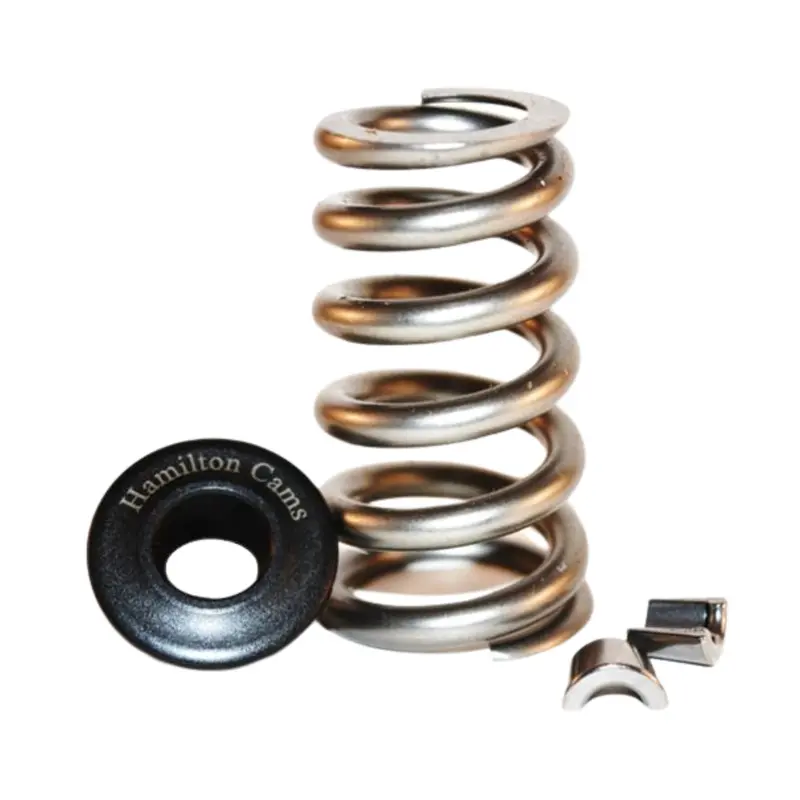 1989-1998 Cummins 5.9L Hamilton Cams Hd Valve Springs (07-S-001) 1