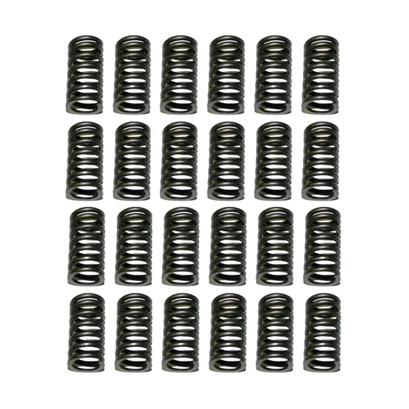 1998.5-2018 Cummins 5.9L/6.7L Sbi Valve Spring Set Of 24 (160-1484) 1