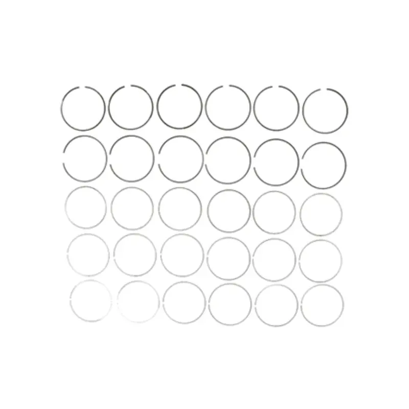 2001-2010 Duramax 6.6L Mahle Pistons Ring Set (41909) 1