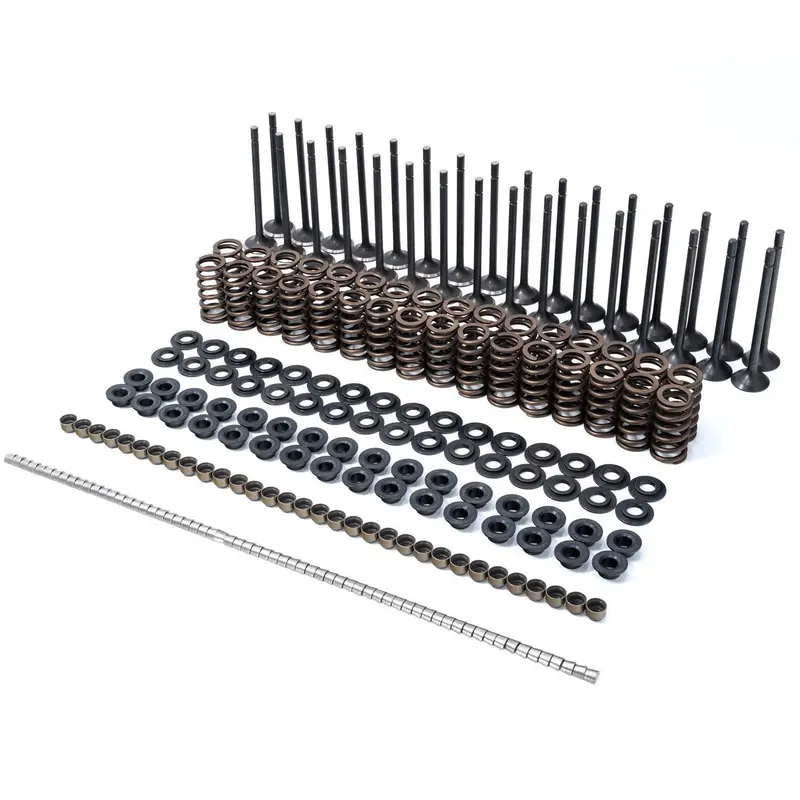 2001-2016 Duramax Ppe Valve & Spring Kit (110090080) 1