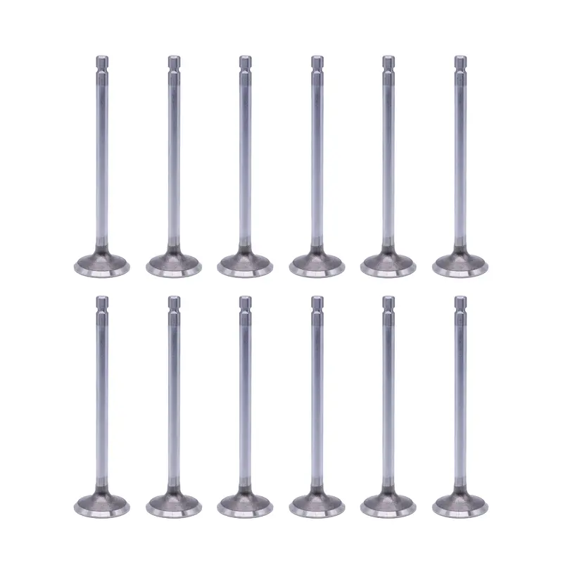 2002-2022 Cummins Sbi Exhaust Valve Set Of 12 (13006) 1
