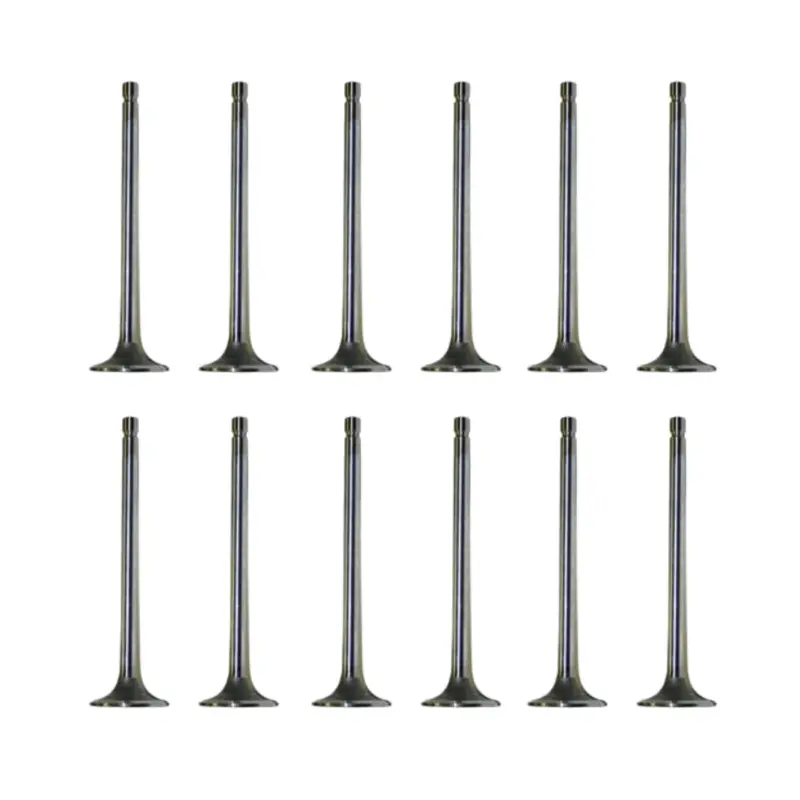 2002-2022 Cummins Sbi Intake Valve Set Of 12 (02014) 1