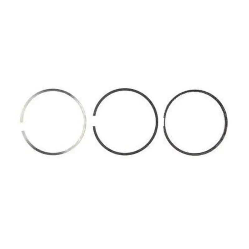 2004.5-2007 Cummins 5.9L Mahle Pistons Rings (S42170) 1