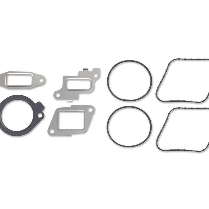 2007.5-2010 Duramax High Pressure Fuel Pump / Egr Install Kit (Ap0130) 1