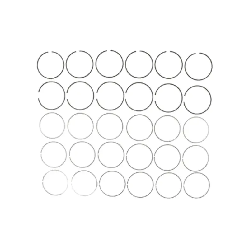 2008-2010 Powerstroke 6.4L Mahle Pistons Rings (42097) 1