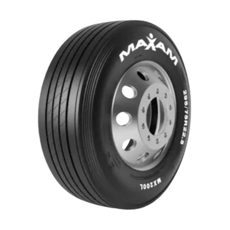 285/75R24.5 14Pr 144/141M Maxam Mx200l -V220002 1