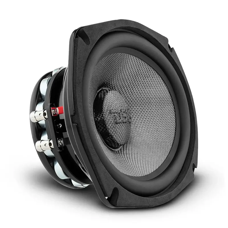 Ds18 Pro-Cf69.4Nr 2