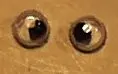 Eyes : Robots Stuffed Animals . 1
