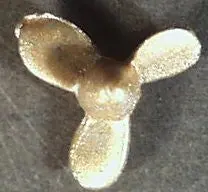 Three Blade Boat Propeller Cast 1