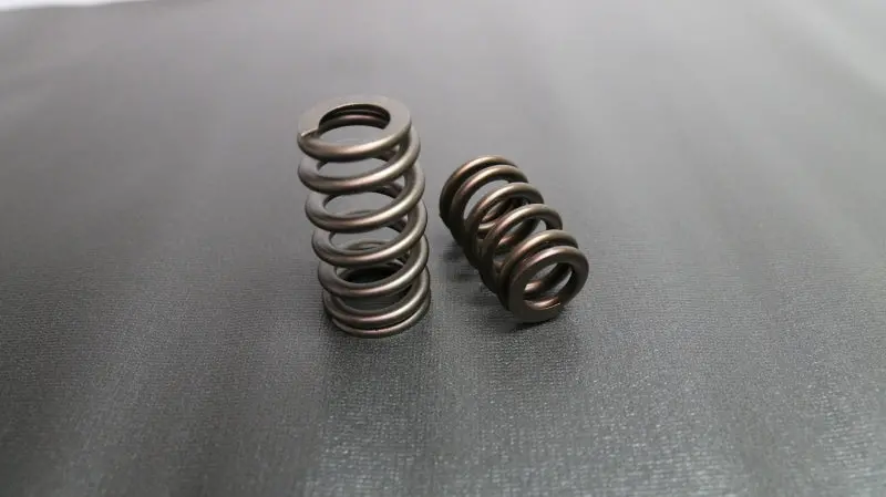 Ferrea Single Beehive Ovate Valve Spring For Ford 5.0L Coyote Engine 1