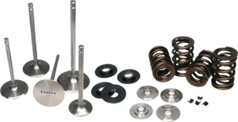 Ferrea Valve Spring Kit For 2002–2003 Harley-Davidson Vrsca V-Rod 1